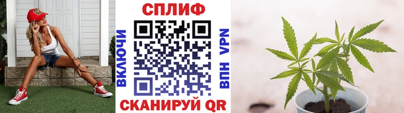Названия наркотиков Киржач Alpha-PVP Каннабис Мефедрон Кодеин Cocaine ГАШИШ МДМА